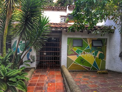 Photos of Bamb&uacute; Hostel