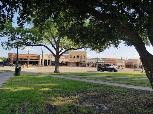 Freestone County Sheriff - Thumbnail