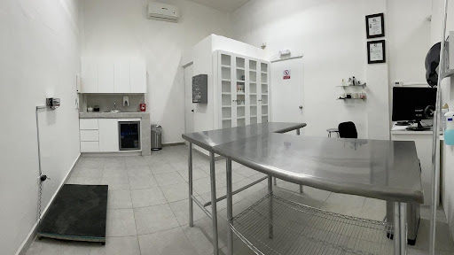 Dogtor Pets Clinica Veterinaria y Estetica Canina