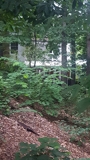 Heritage Sandy Springs Museum - Thumbnail