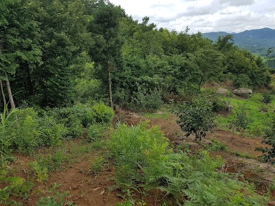 Photos of 백룡산