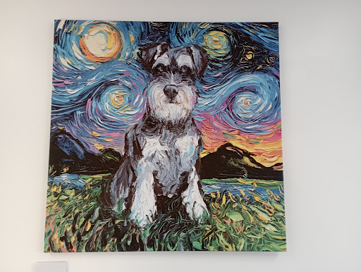 Kings Veterinary Centre - Thumbnail