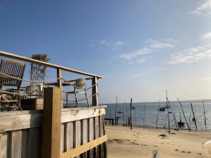 Photo n°5 de Chez Guillaume Degustation d'huitres à Lège-Cap-Ferret (Restaurant)