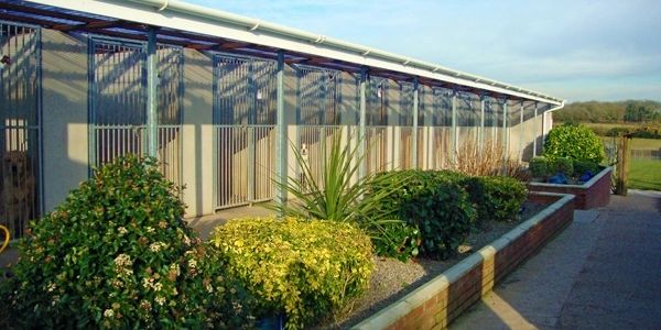 Penylan Country Lodge Kennels & Cattery - Dog trainer