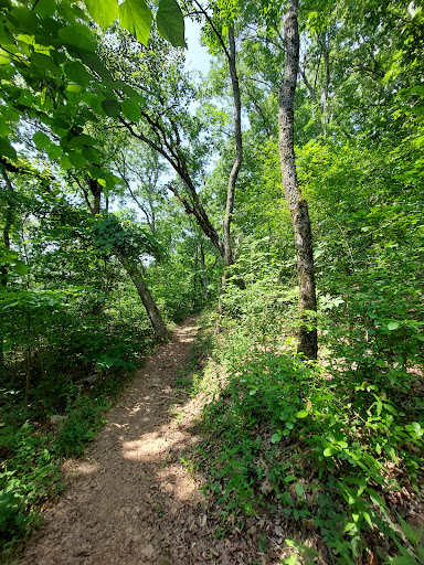 Highpoint Trailhead/Pinhoti Trail - Thumbnail