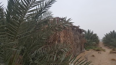 Photos of Farm Faraj Diab Jawasri