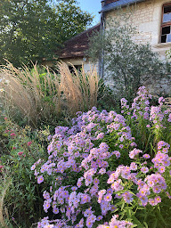 Photo n°2 de architecte paysagiste à Vaucresson (Architecte paysagiste)