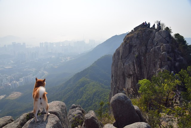 Lion Rock