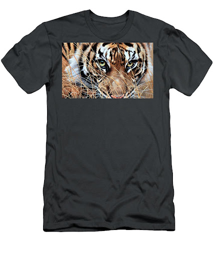 Online Wildlife Art Shop Gallery - United Kingdom