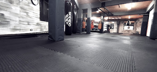 Professional Kickboxing Team - Thumbnail