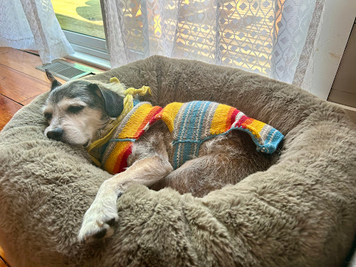 Great Bay Animal Hospital Gallery - United States