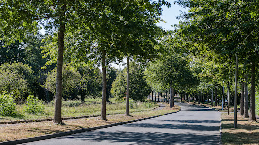 Photo de LEROY PAYSAGES Mayenne
