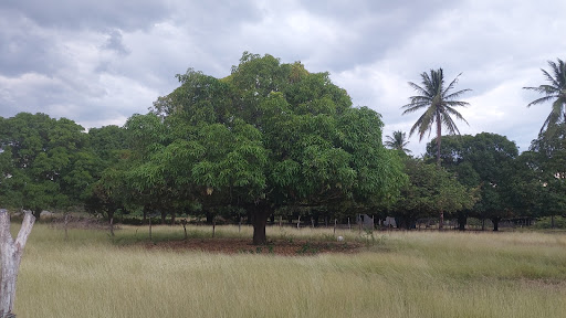 Rancho Enai Esteva - Thumbnail