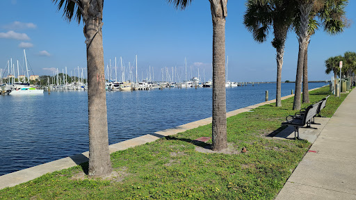 Albert Whitted Park Gallery - United States