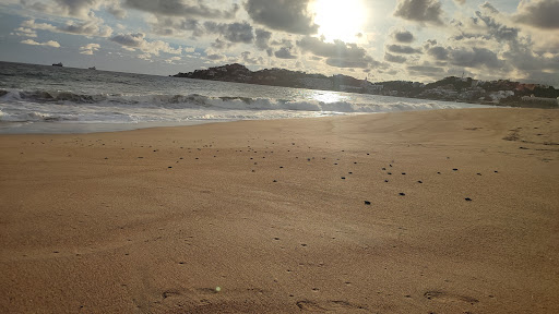Tortugario Manzanillo Gallery - Mexico