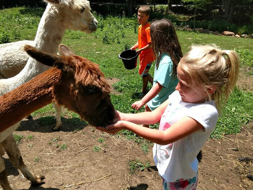 Sugg Plantation And Alpaca Farm - Thumbnail