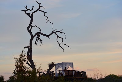 Photos of Chalkley's Tree House