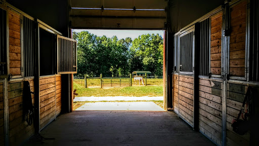 Michael Lyons Horsemanship Gallery - United States