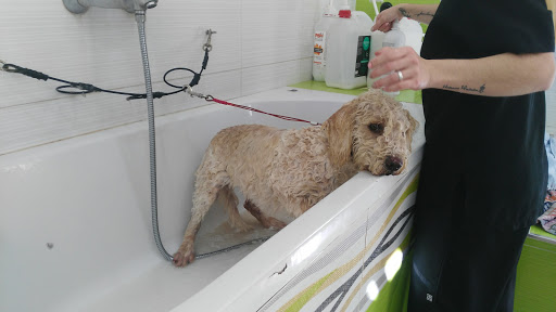Veterinary Animal Care Center
