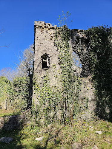 Comments and reviews of Candleston Castle