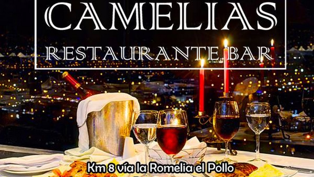 restaurante bar mirador las camelias - Mirador en Pereira