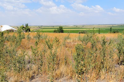 Photos of &Ccedil;atalh&ouml;y&uuml;k