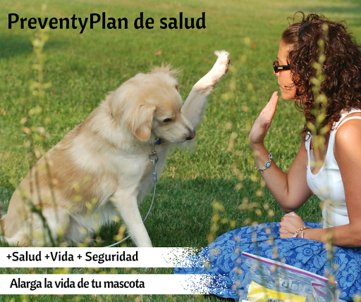 Centro Veterinario en Zaragoza PreventyVet