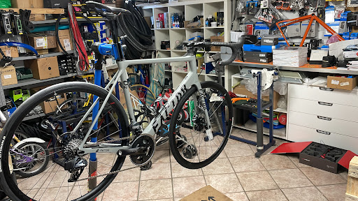 DM bike - Visual