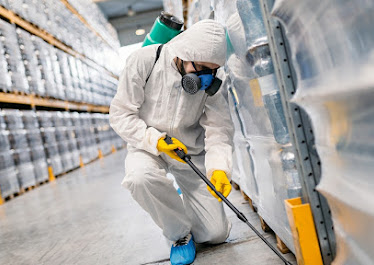 Bodrum İz İlaçlama