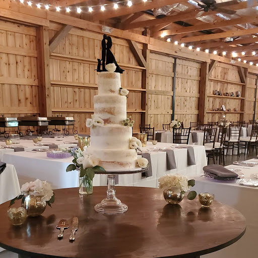 Cake Joy - Visual