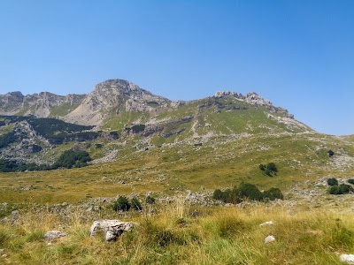 Photos of Bar, schronisko