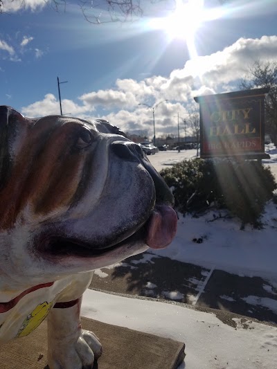 Photos of Big Rapids City Hall