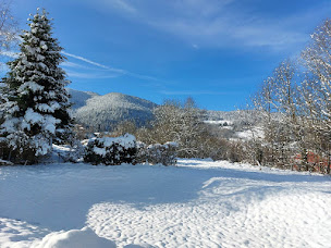 Photo n°8 de AU BONHEUR FAIT MAISON à Saint-Maurice-sur-Moselle (Chambre d'hôtes)