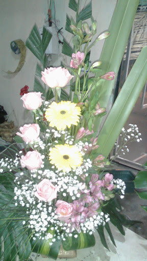 Floreria D'sofia - Visual