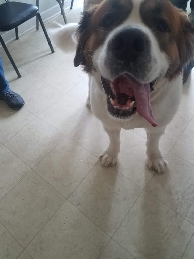 Baxley Animal Hospital - Thumbnail