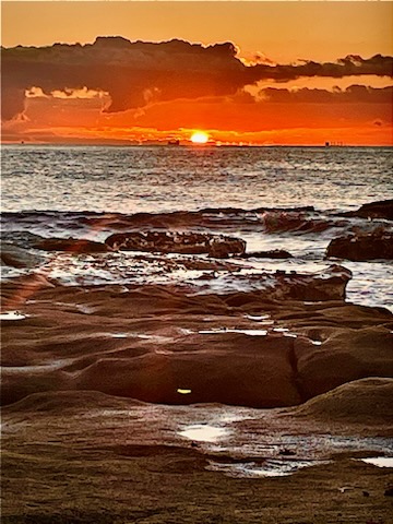Shelly's beach - Visual