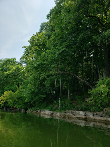 Hickman Shores Road Boat Ramp - Thumbnail