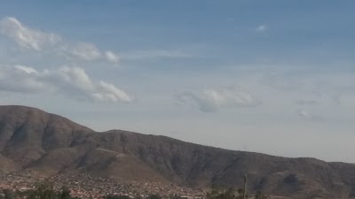 Photos of Flower Fest Previa