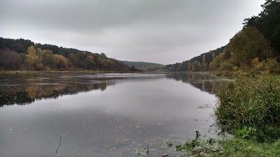 Photos of Lesopark Lososno