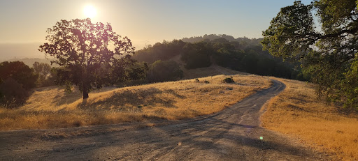 Ponti Ridge Trail Gallery - United States