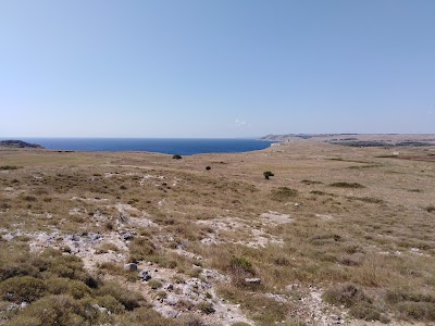 Vista panoramica