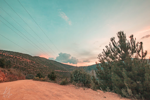 Tower Hill Lookout - Thumbnail