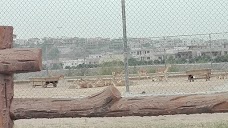 Bahria Zoo rawalpindi