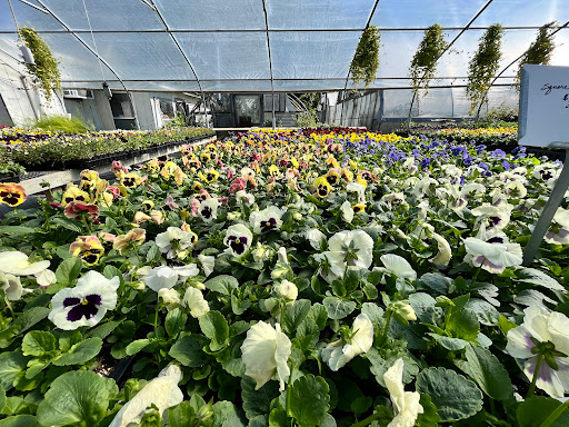 Matkins Flowers & Greenhouse - Thumbnail