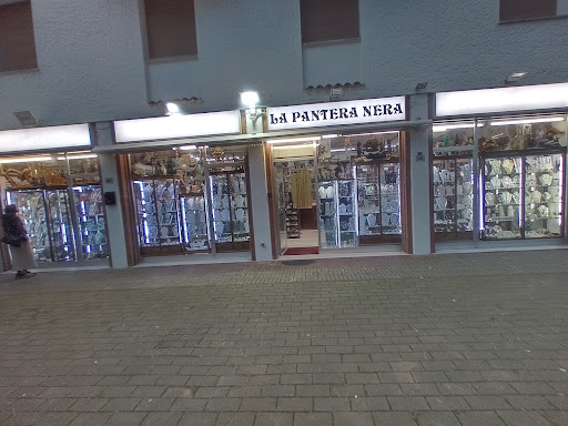 La Pantera Nera - Visual