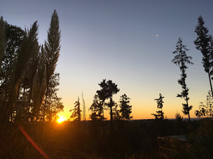 Photo n°18 de Domaine du Coq Rouge - Naturiste à Collonges-la-Rouge (Parc naturiste)