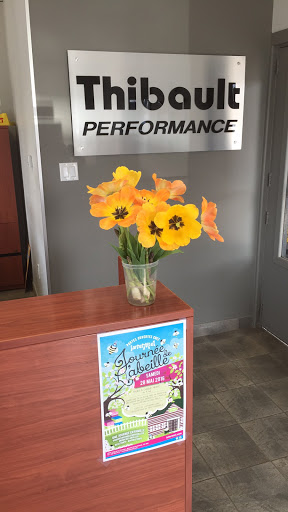 Thibault Performance - Visual