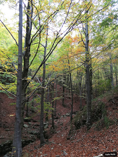 Monte Ramaceto - Visual