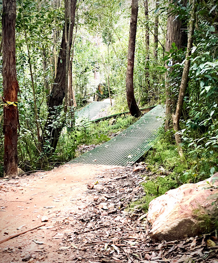 Hornsby Mountain Bike Trail - Thumbnail
