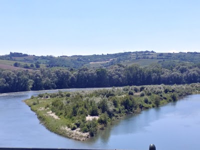 Park of Po Vercellese and Alessandrino